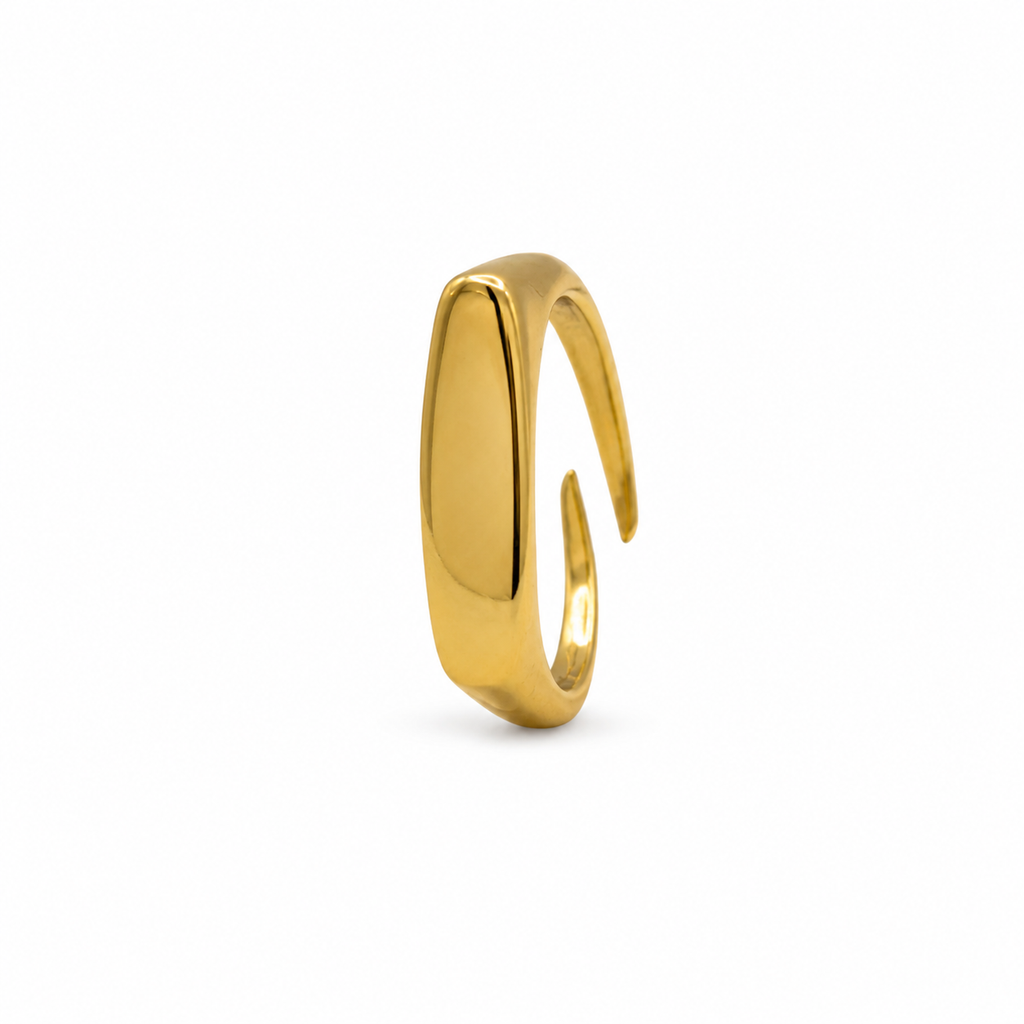 Anello Linea