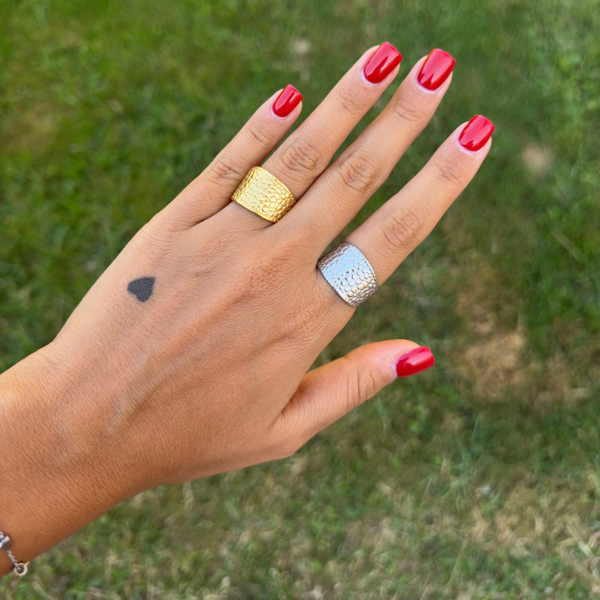 Anello Python
